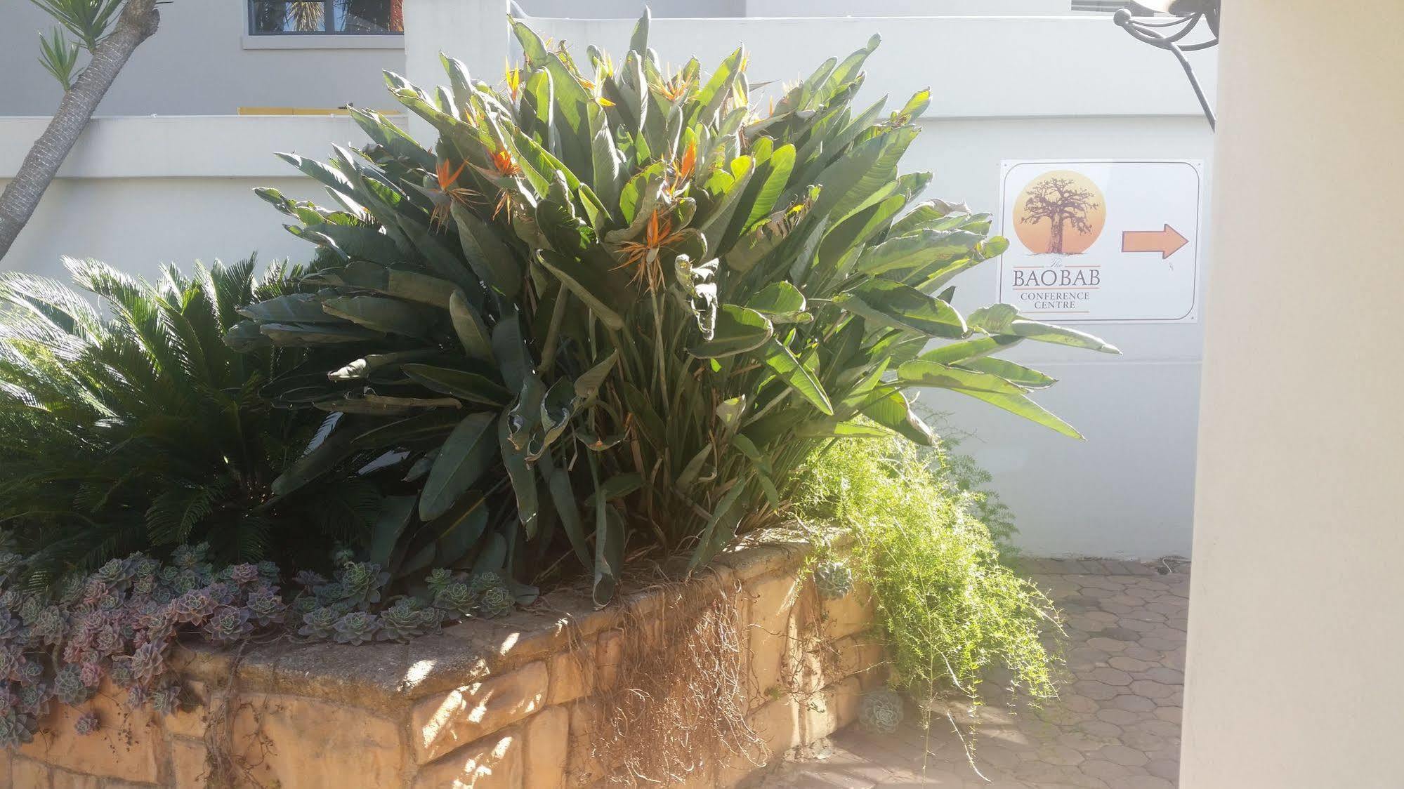 The Baobab Villa Midrand Ngoại thất bức ảnh